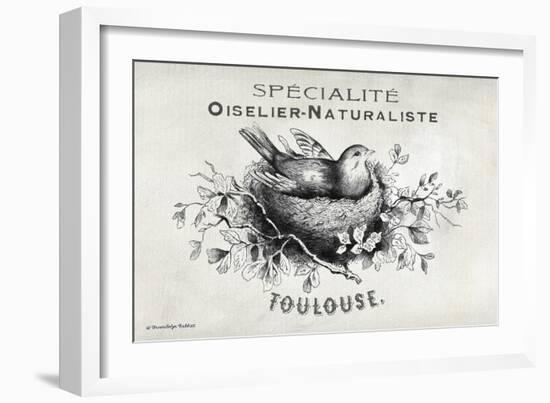 French Bird Nest I-Gwendolyn Babbitt-Framed Premium Giclee Print