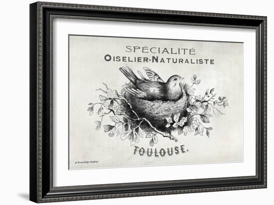 French Bird Nest I-Gwendolyn Babbitt-Framed Premium Giclee Print