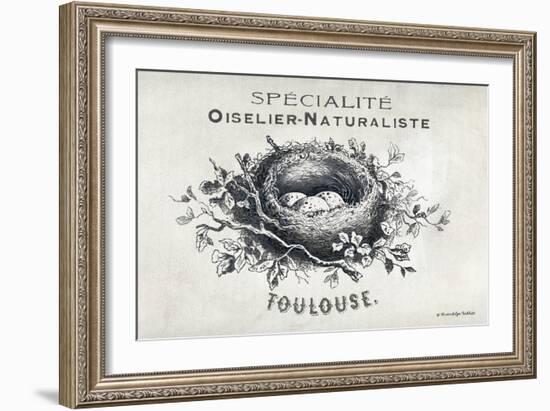 French Bird Nest II-Gwendolyn Babbitt-Framed Premium Giclee Print