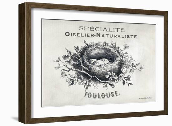 French Bird Nest II-Gwendolyn Babbitt-Framed Premium Giclee Print
