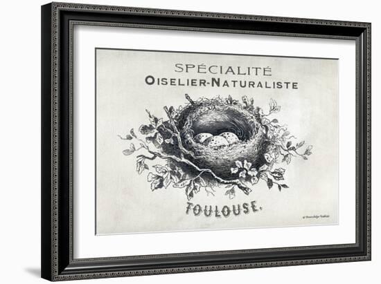 French Bird Nest II-Gwendolyn Babbitt-Framed Premium Giclee Print