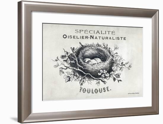 French Bird Nest II-Gwendolyn Babbitt-Framed Art Print