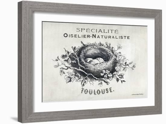 French Bird Nest II-Gwendolyn Babbitt-Framed Art Print