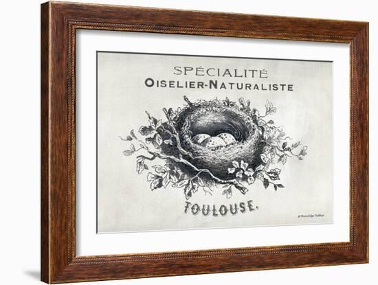 French Bird Nest II-Gwendolyn Babbitt-Framed Art Print