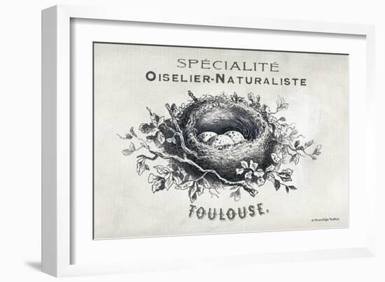 French Bird Nest II-Gwendolyn Babbitt-Framed Art Print