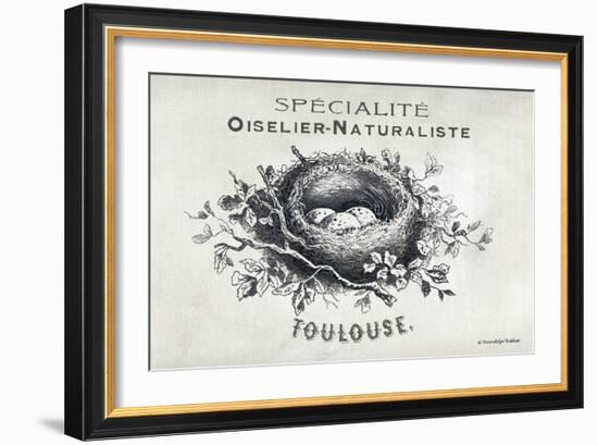 French Bird Nest II-Gwendolyn Babbitt-Framed Art Print