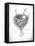 French Bird Nest II-Gwendolyn Babbitt-Framed Stretched Canvas