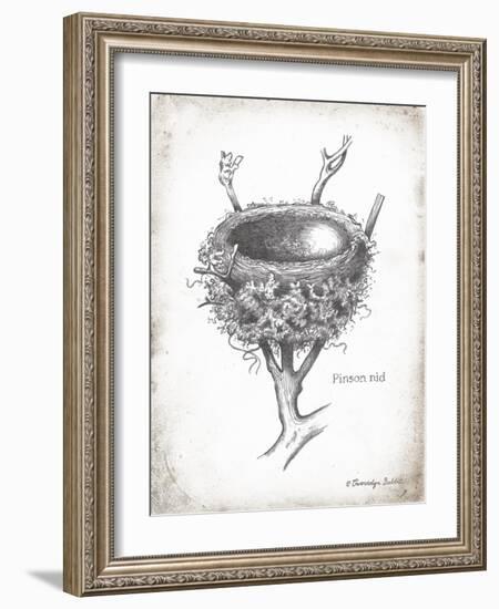 French Bird Nest II-Gwendolyn Babbitt-Framed Art Print