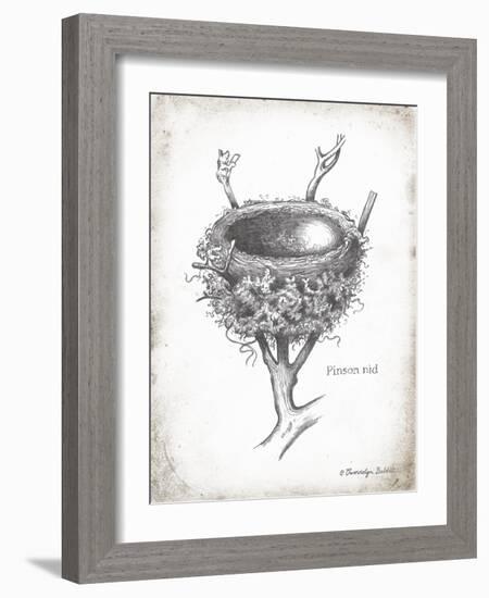 French Bird Nest II-Gwendolyn Babbitt-Framed Art Print