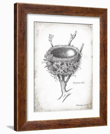 French Bird Nest II-Gwendolyn Babbitt-Framed Art Print