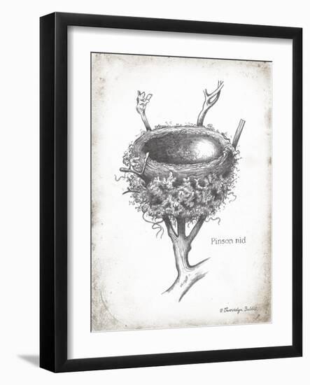 French Bird Nest II-Gwendolyn Babbitt-Framed Art Print