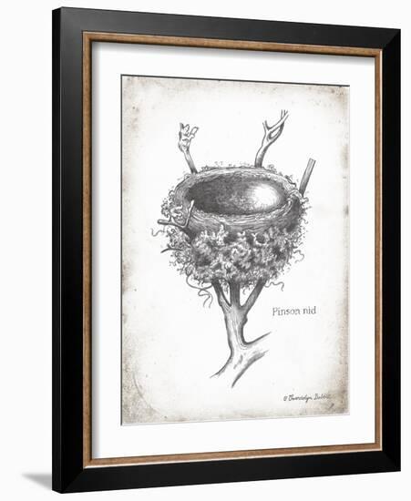 French Bird Nest II-Gwendolyn Babbitt-Framed Art Print