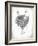 French Bird Nest II-Gwendolyn Babbitt-Framed Art Print