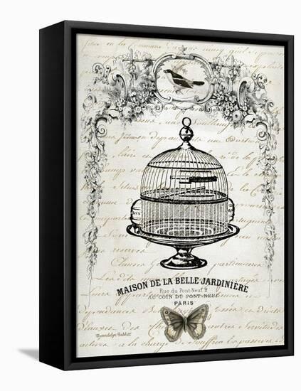 French Birdcage I-Gwendolyn Babbitt-Framed Stretched Canvas