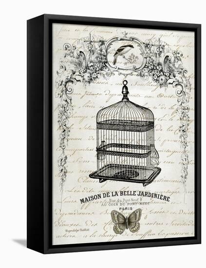 French Birdcage II-Gwendolyn Babbitt-Framed Stretched Canvas