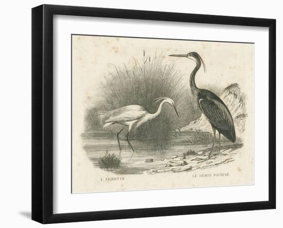 French Birds II-Wild Apple Portfolio-Framed Art Print