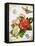 French Botanical I-Gwendolyn Babbitt-Framed Stretched Canvas