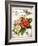 French Botanical I-Gwendolyn Babbitt-Framed Art Print