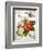 French Botanical I-Gwendolyn Babbitt-Framed Premium Giclee Print