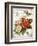 French Botanical I-Gwendolyn Babbitt-Framed Premium Giclee Print