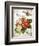 French Botanical I-Gwendolyn Babbitt-Framed Premium Giclee Print