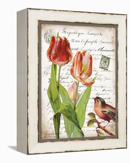 French Botanical II-Gwendolyn Babbitt-Framed Stretched Canvas