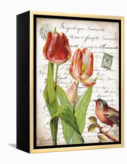 French Botanical II-Gwendolyn Babbitt-Framed Stretched Canvas