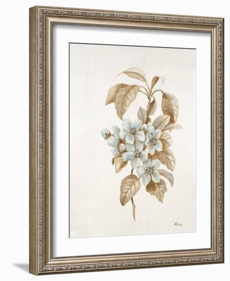 French Botanicals I-Rikki Drotar-Framed Giclee Print