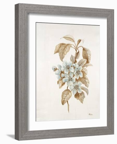 French Botanicals I-Rikki Drotar-Framed Giclee Print