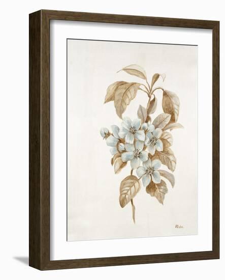 French Botanicals I-Rikki Drotar-Framed Giclee Print