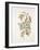 French Botanicals I-Rikki Drotar-Framed Giclee Print