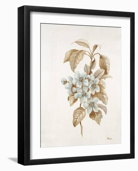 French Botanicals I-Rikki Drotar-Framed Giclee Print