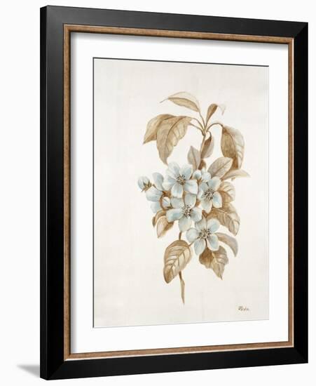 French Botanicals I-Rikki Drotar-Framed Giclee Print