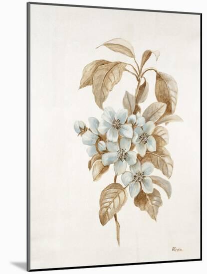 French Botanicals I-Rikki Drotar-Mounted Giclee Print