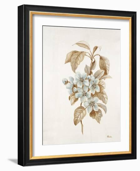 French Botanicals I-Rikki Drotar-Framed Giclee Print