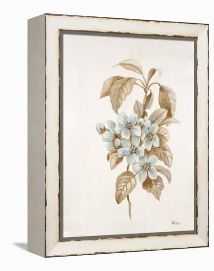 French Botanicals I-Rikki Drotar-Framed Premier Image Canvas