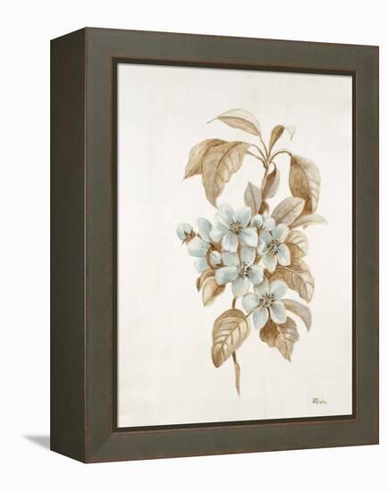 French Botanicals I-Rikki Drotar-Framed Premier Image Canvas