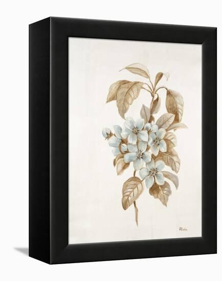 French Botanicals I-Rikki Drotar-Framed Premier Image Canvas