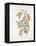 French Botanicals I-Rikki Drotar-Framed Premier Image Canvas