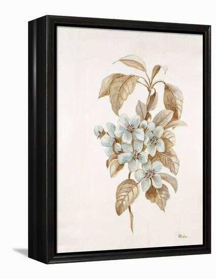 French Botanicals I-Rikki Drotar-Framed Premier Image Canvas