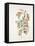 French Botanicals I-Rikki Drotar-Framed Premier Image Canvas