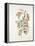 French Botanicals I-Rikki Drotar-Framed Premier Image Canvas