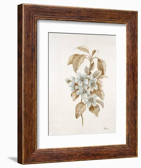 French Botanicals I-Rikki Drotar-Framed Giclee Print