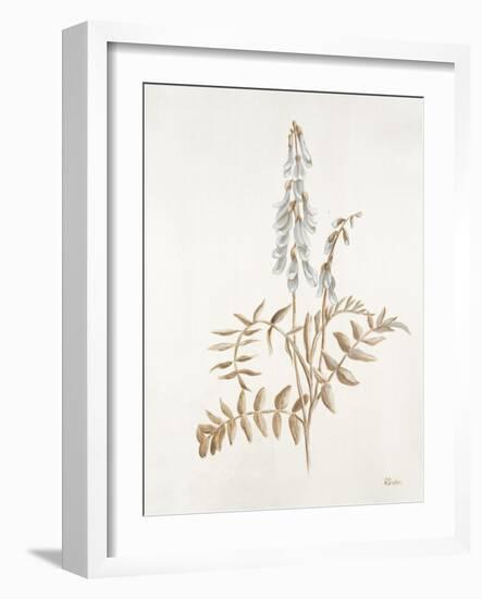 French Botanicals II-Rikki Drotar-Framed Giclee Print