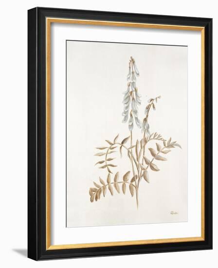 French Botanicals II-Rikki Drotar-Framed Giclee Print