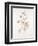 French Botanicals III-Rikki Drotar-Framed Giclee Print