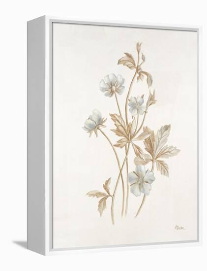 French Botanicals III-Rikki Drotar-Framed Premier Image Canvas