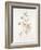 French Botanicals III-Rikki Drotar-Framed Giclee Print