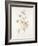 French Botanicals III-Rikki Drotar-Framed Giclee Print