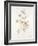 French Botanicals III-Rikki Drotar-Framed Giclee Print